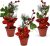 Lot de 3 mini plantes artificielles de Noël